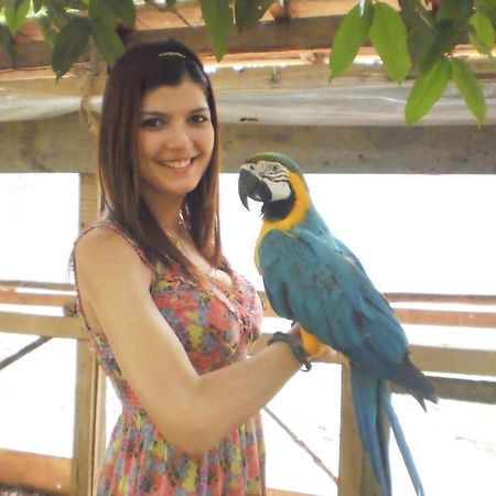 Amazon Rainforest Lodge Padre Cocha 외부 사진