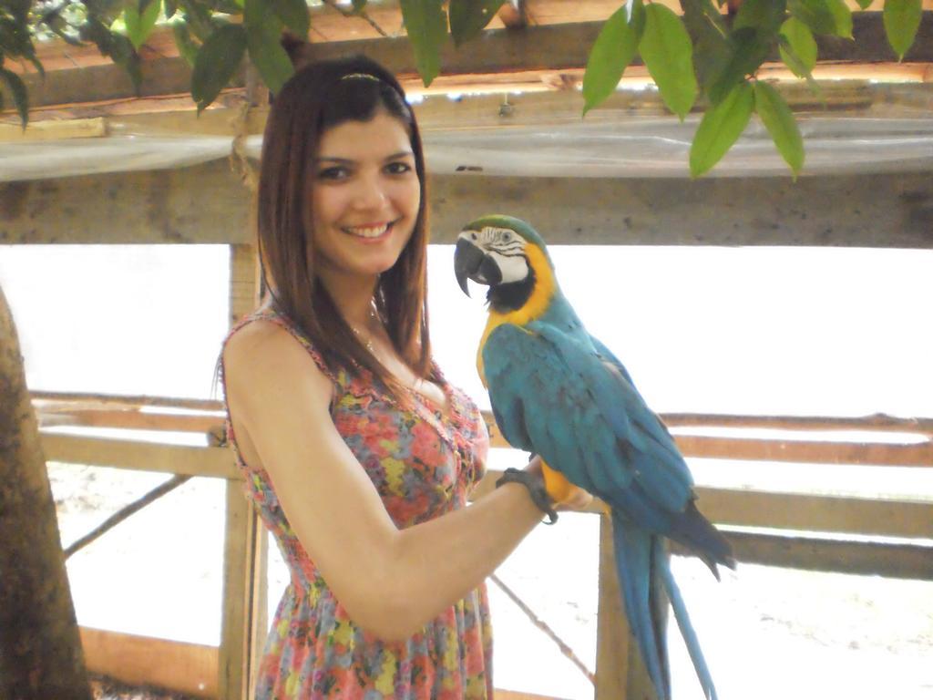 Amazon Rainforest Lodge Padre Cocha 외부 사진